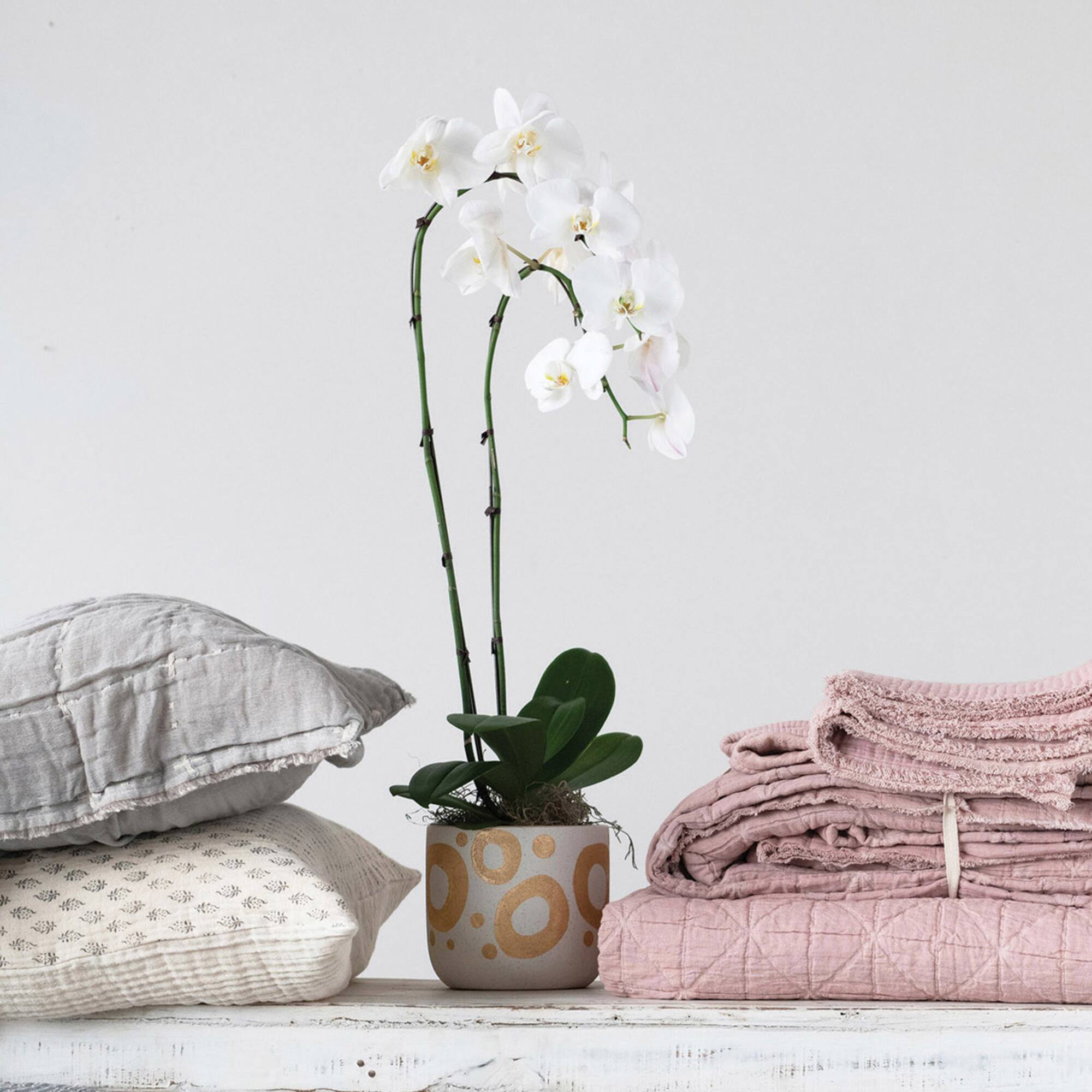 Hello Honey® 6.5" White & Gold Hand-Painted Stoneware Planter